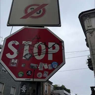 Profile image of 유지민