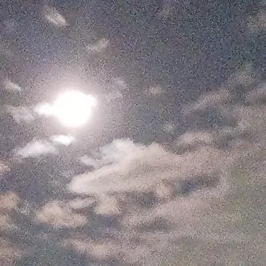 Profile image of The Countries