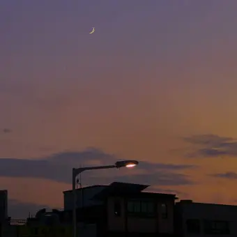 Profile image of 꽥