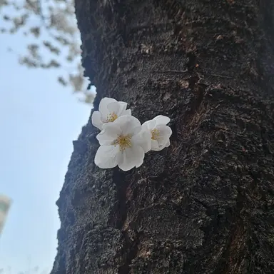 Profile image of 라더