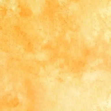 Profile image of 照史