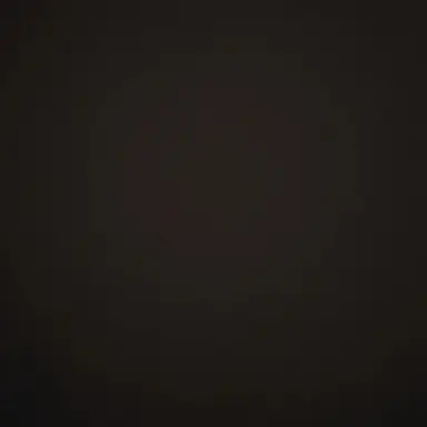 Profile image of 루이쨘