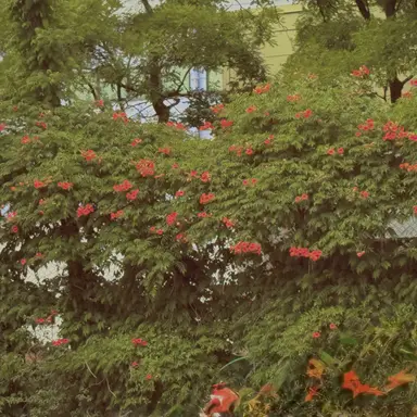 Profile image of 공룡