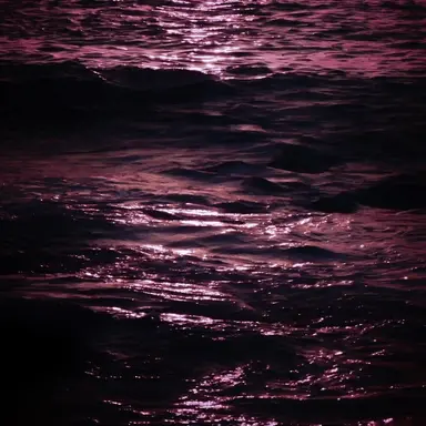 Profile image of 不破湊