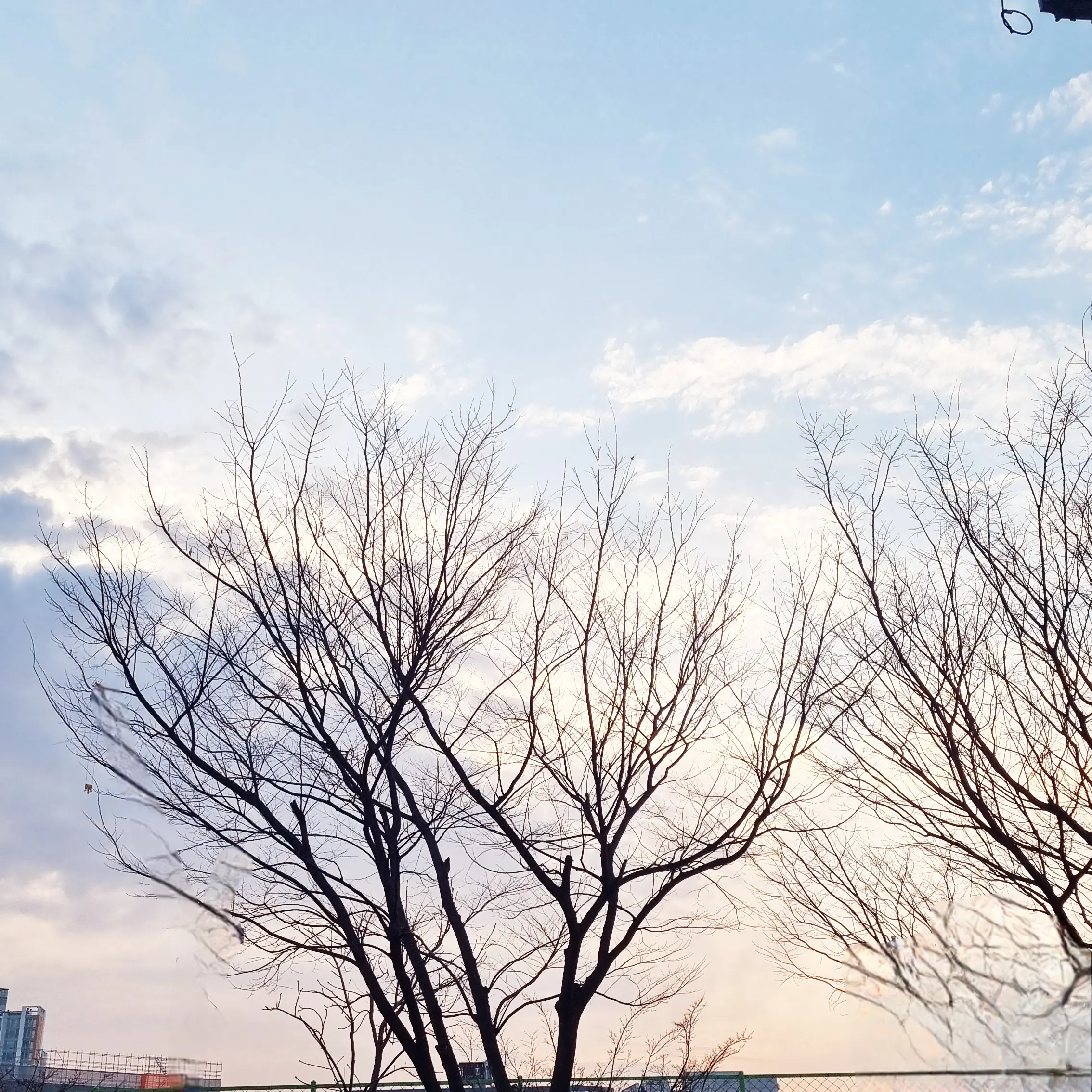 Babsa000의 미친 저택에 메이드&집사로 취업했다