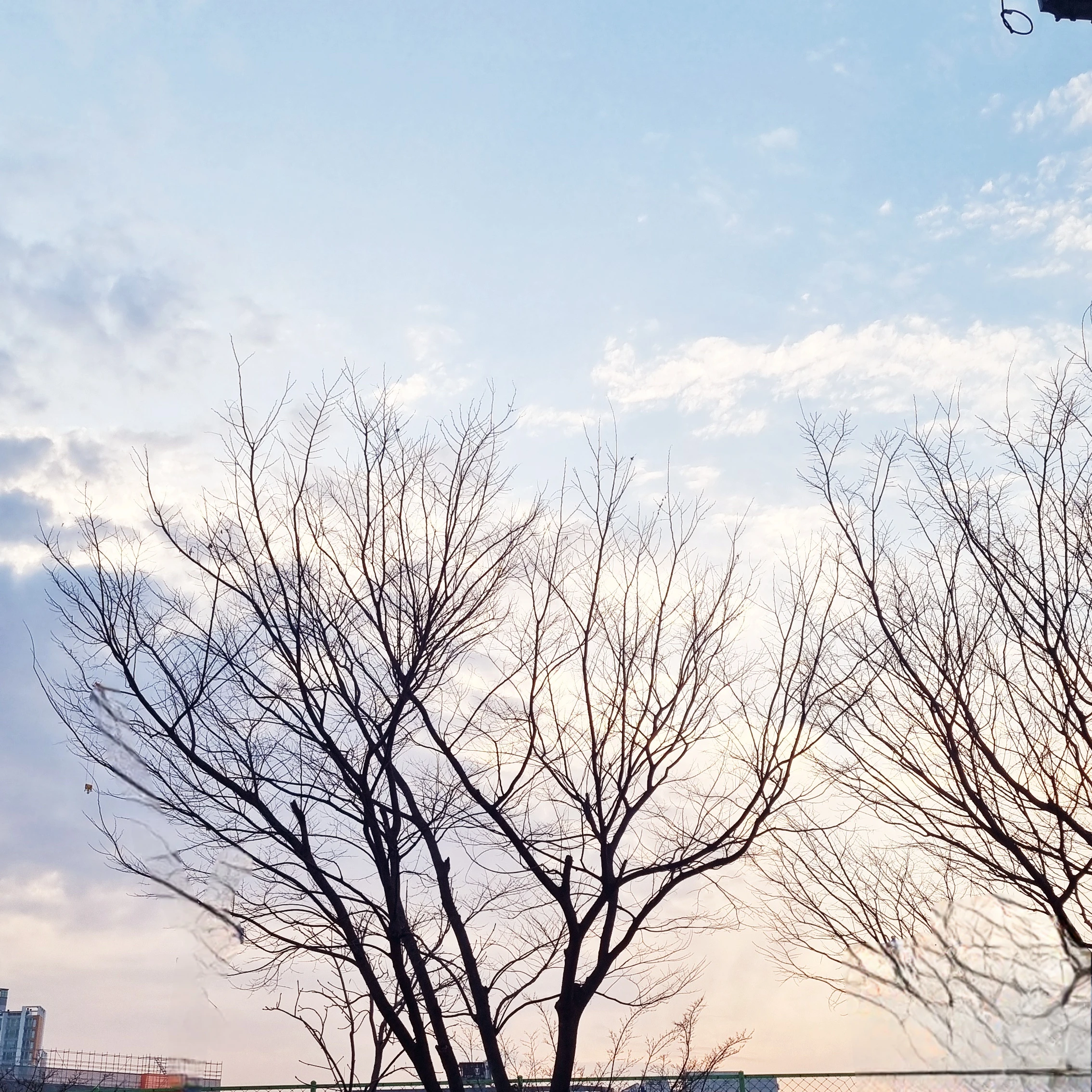 호테
