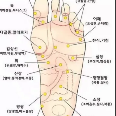 Profile image of 여우