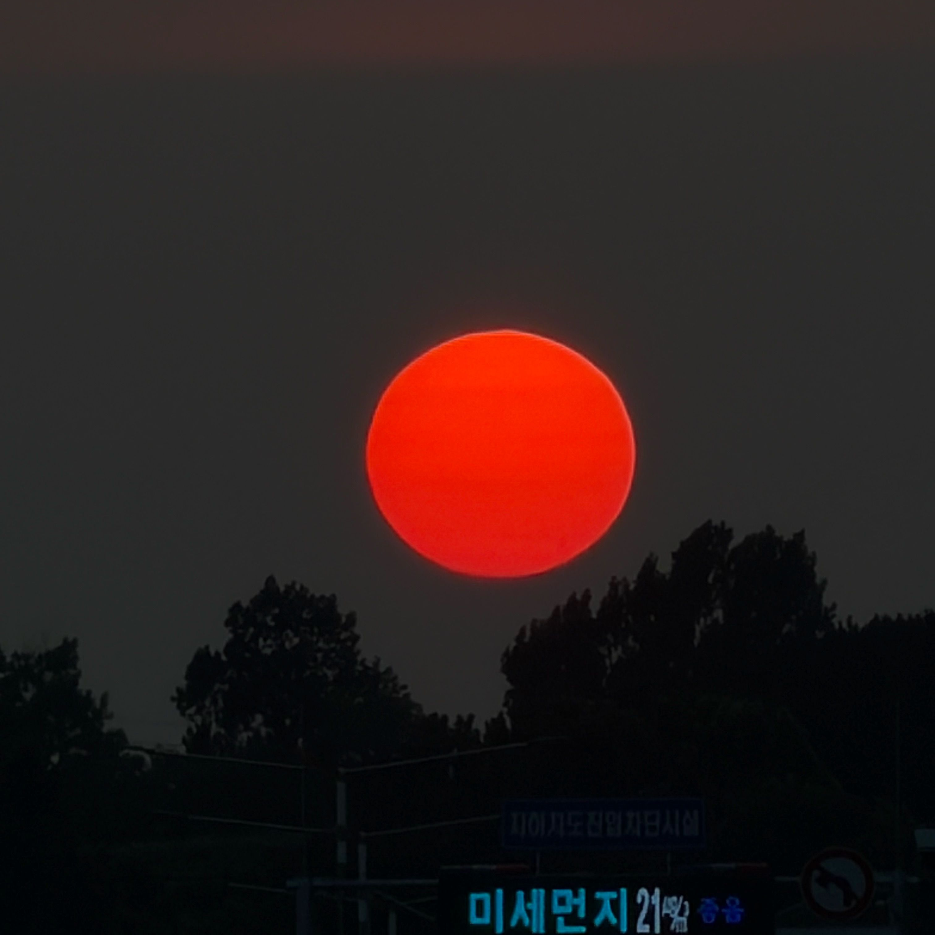 설윤아 대표 이미지
