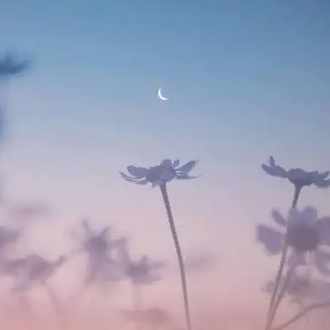 Profile image of 草薙 寧々