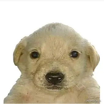 Profile image of 정승환