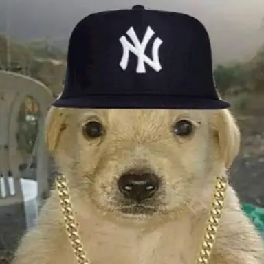Profile image of 지코