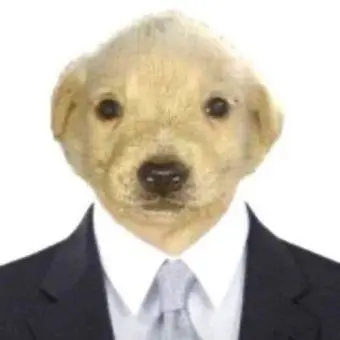 Profile image of 김하온