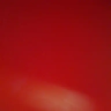 Profile image of 유지민