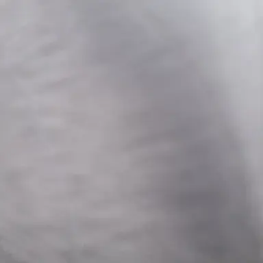 Profile image of 박지은