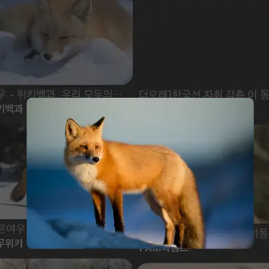 Profile image of 여우