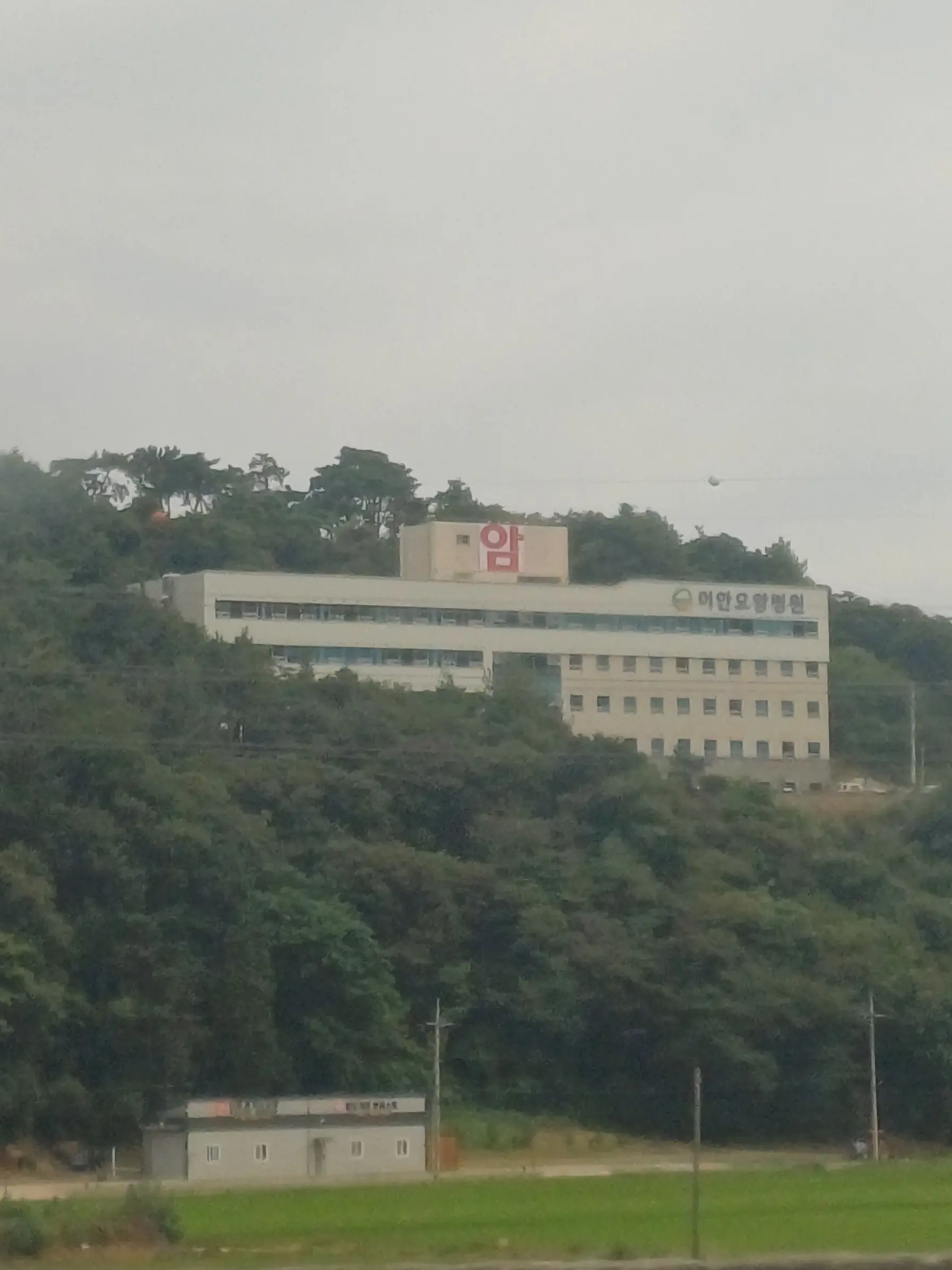 TLAMO의 礼儀正しい影...？