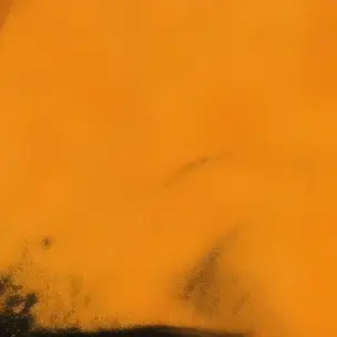 Profile image of 北見遊征