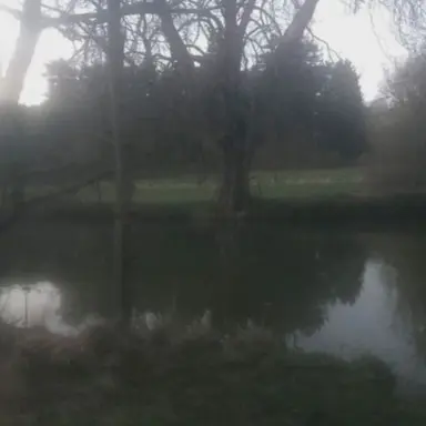 Profile image of 정공룡