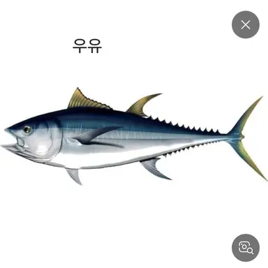 Profile image of 우유참치