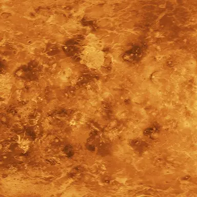 Profile image of 金星