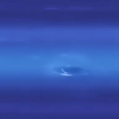 Profile image of 海王星