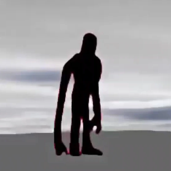 꽃