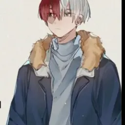 Profile image of Shoto todoroki