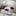 토토