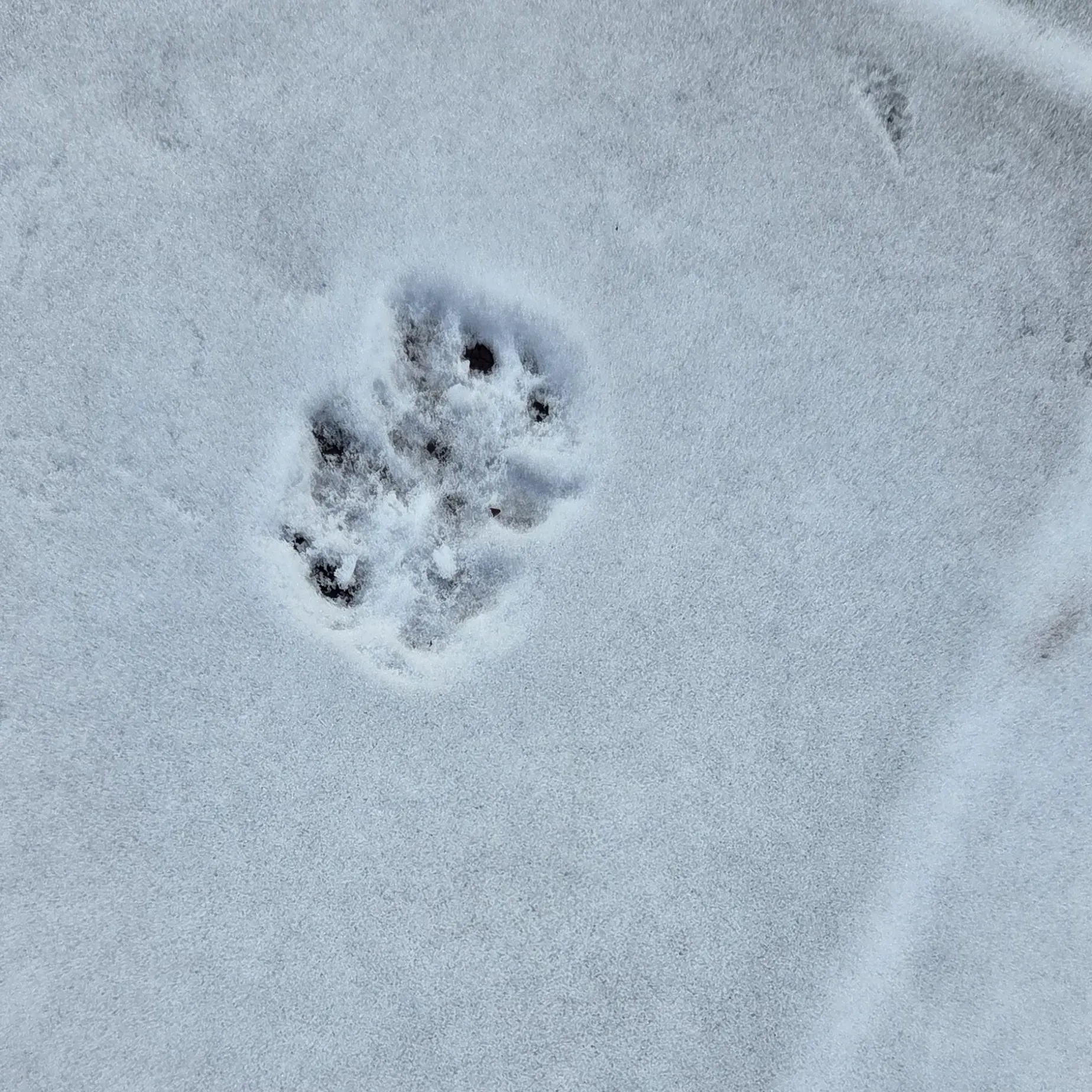 MatureMedal5761의 소심남의변신