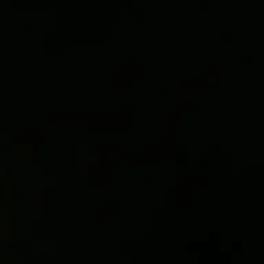 Profile image of 수현