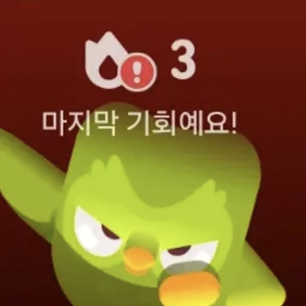 듀오링고