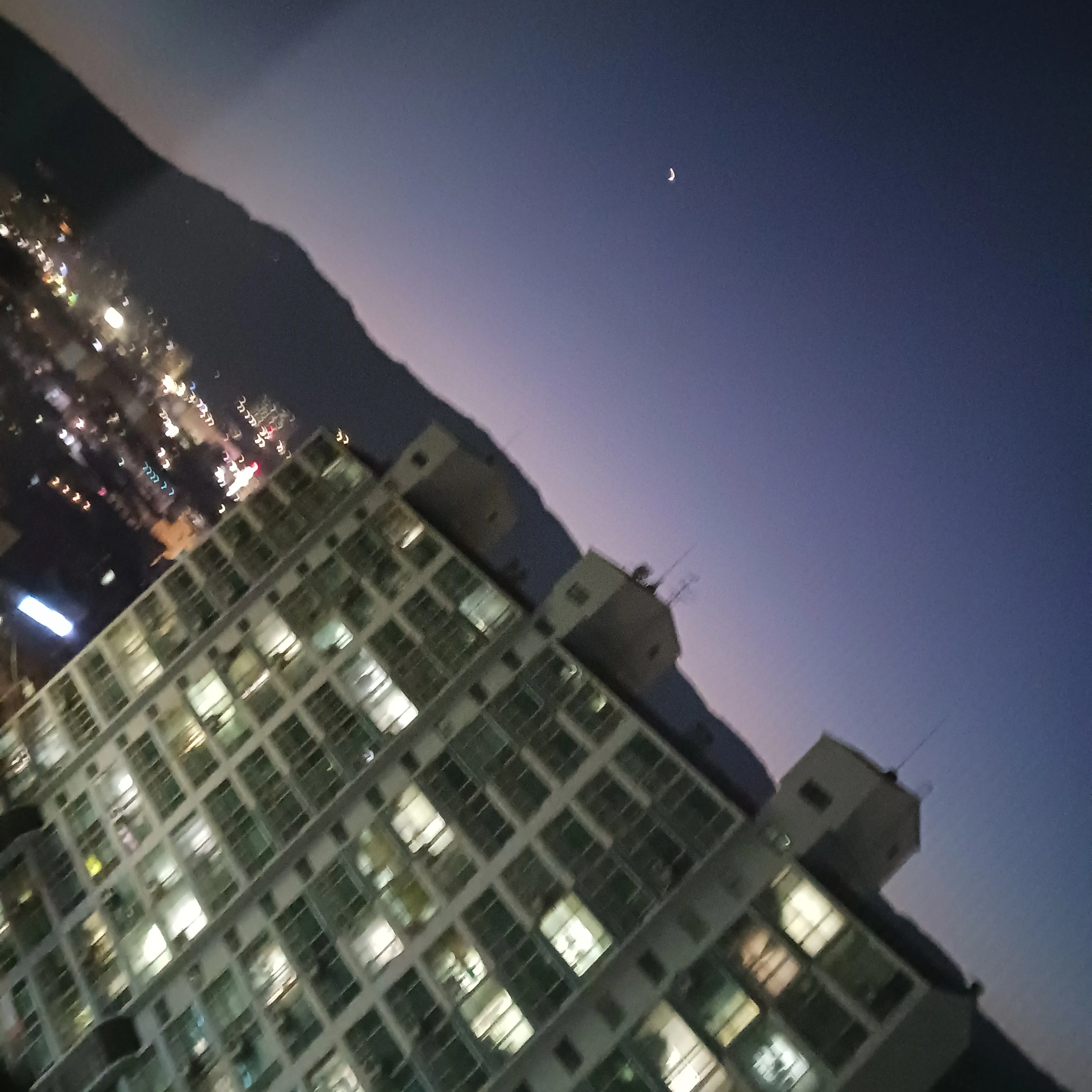RunnyAidi3440의 한동민과 여우