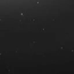 Profile image of 모두의 주인