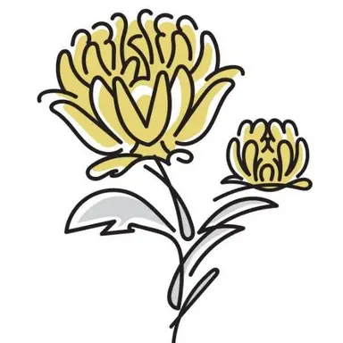 Profile image of 菊