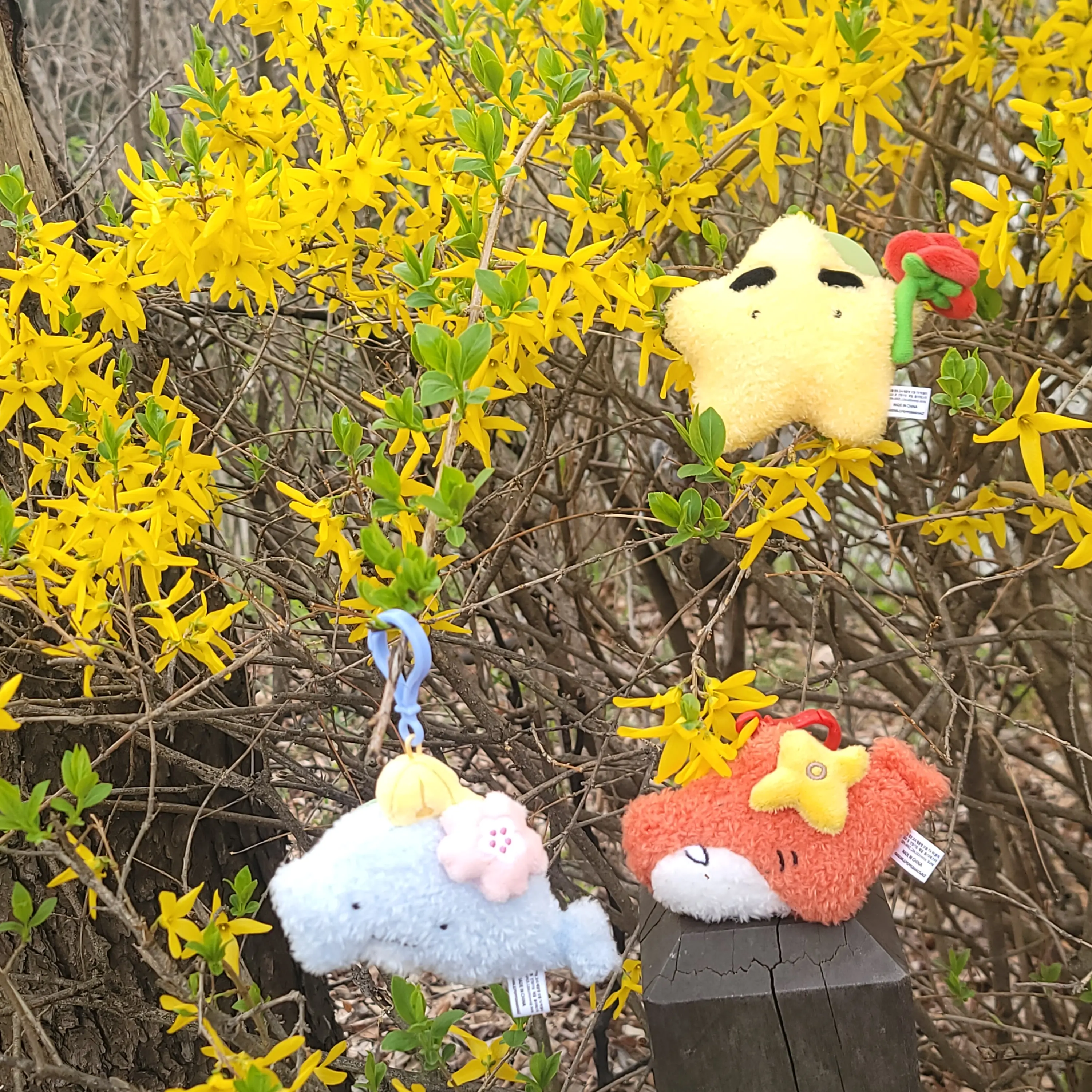 FeebleBroom0481의 미스터리수사반 오해