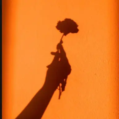 Profile image of 박덕개