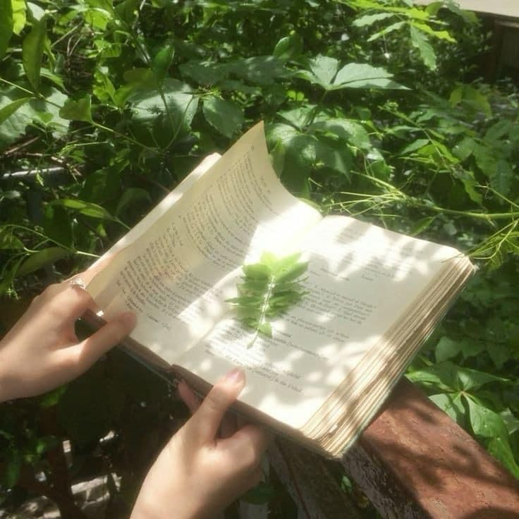 덕개, 공룡 [ 선배 & 후배 ] 대표 이미지