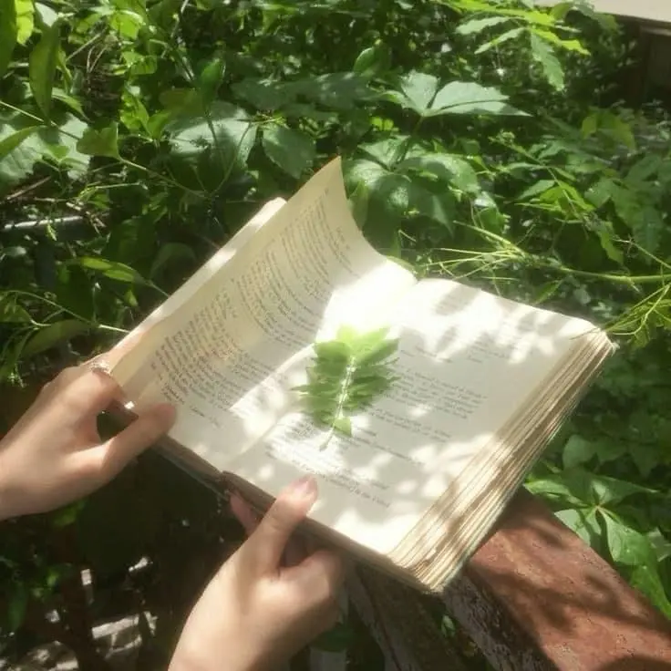 StableYen8787의 덕개, 공룡 [ 선배 & 후배 ]