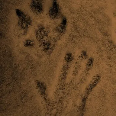 Profile image of 서한솔