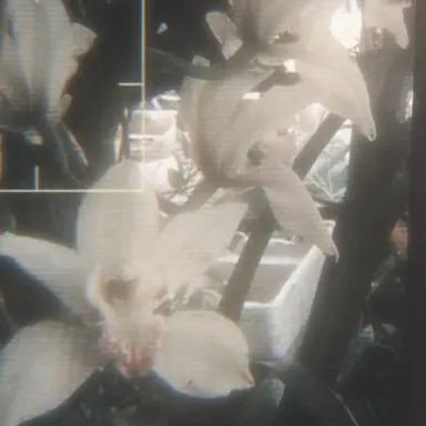 Profile image of 안건호