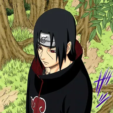 Profile image of イタチ