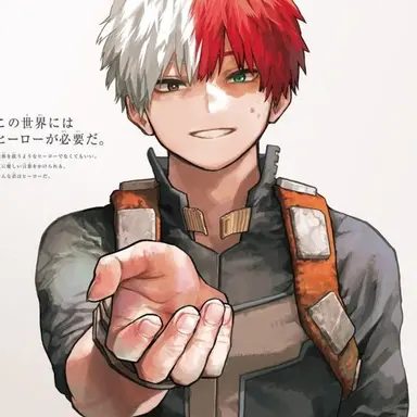 Profile image of Shoto Todoroki