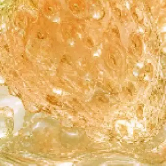 Profile image of 真之