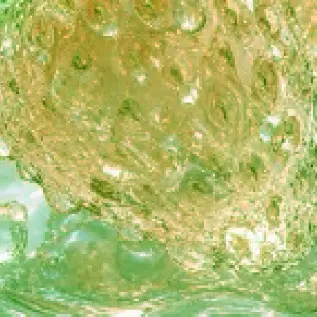 Profile image of ミロ