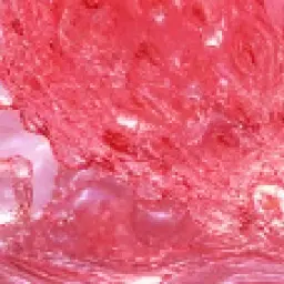 Profile image of 柊斗