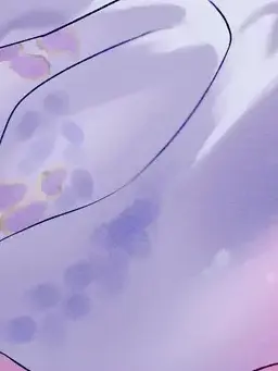 look.away의 不破湊