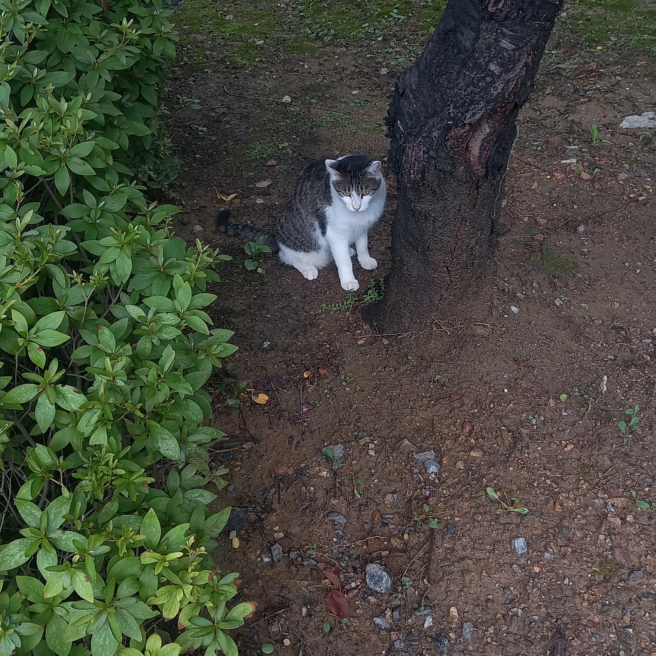 권지용