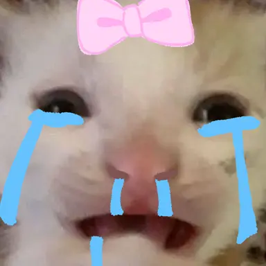 Profile image of 하치요 키네