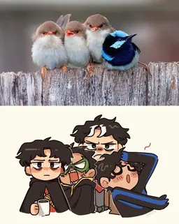 Profile image of The Batfamily
