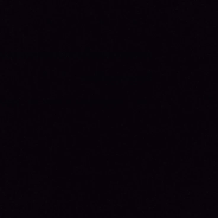 윤정우